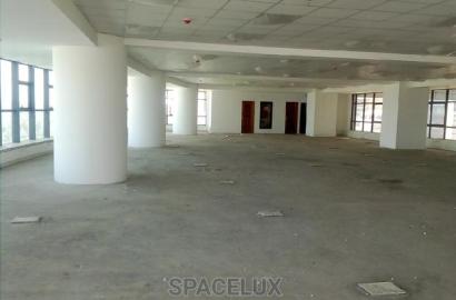 Executive Offices CBD