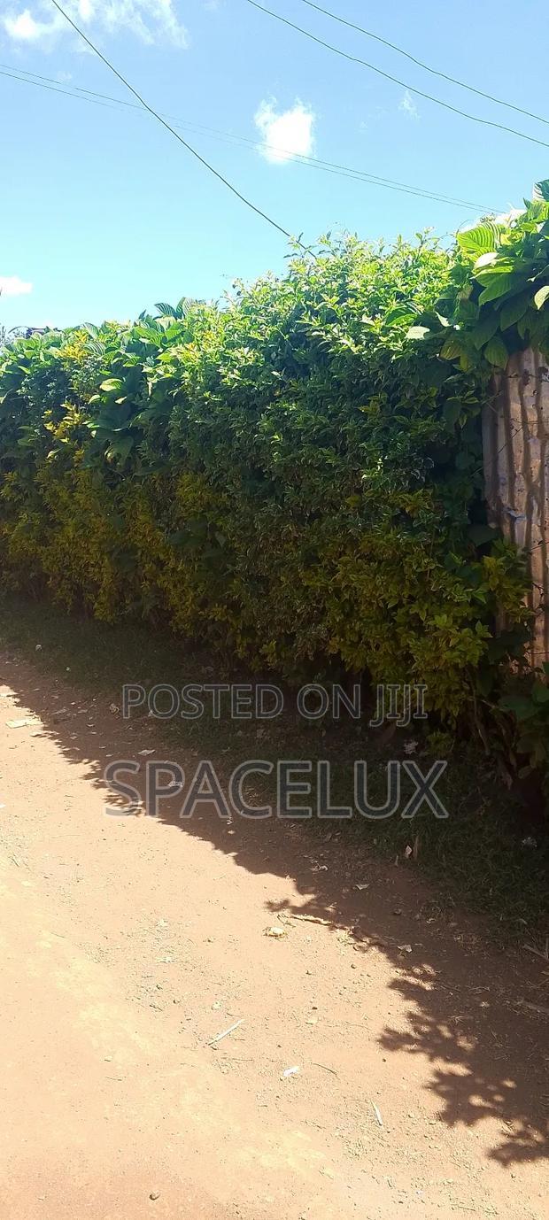 50ft by 100 Ft Prime Plot Gachie Kwa Jakai