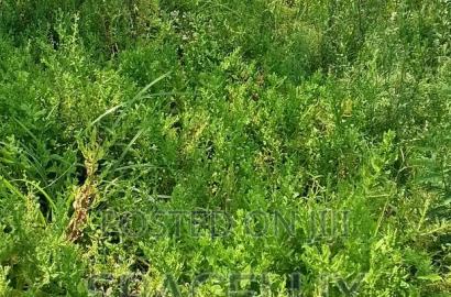 1 Acre Embakasi Kabansora Kentainer Aviation Rd