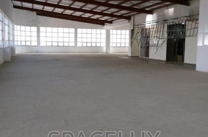 11000sqft Double Height Office Space