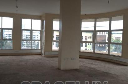 Expansive Office 11000sqft