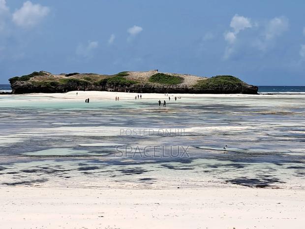Stunning Beach Frontage 3.5 Acres Land