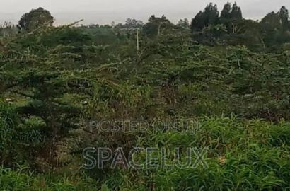 Prime 135 Acres Karen