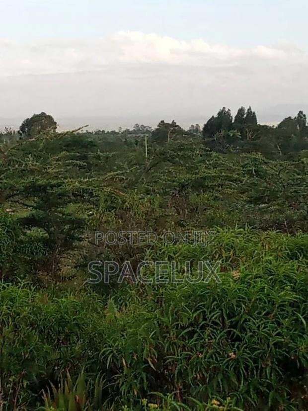 Prime 135 Acres Karen