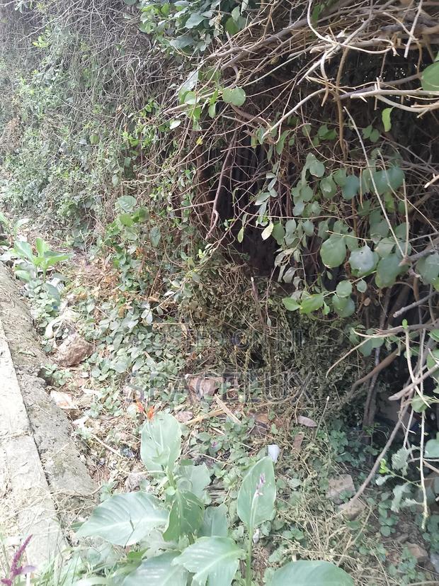 Prime Half Acre Joint Venture Westlands