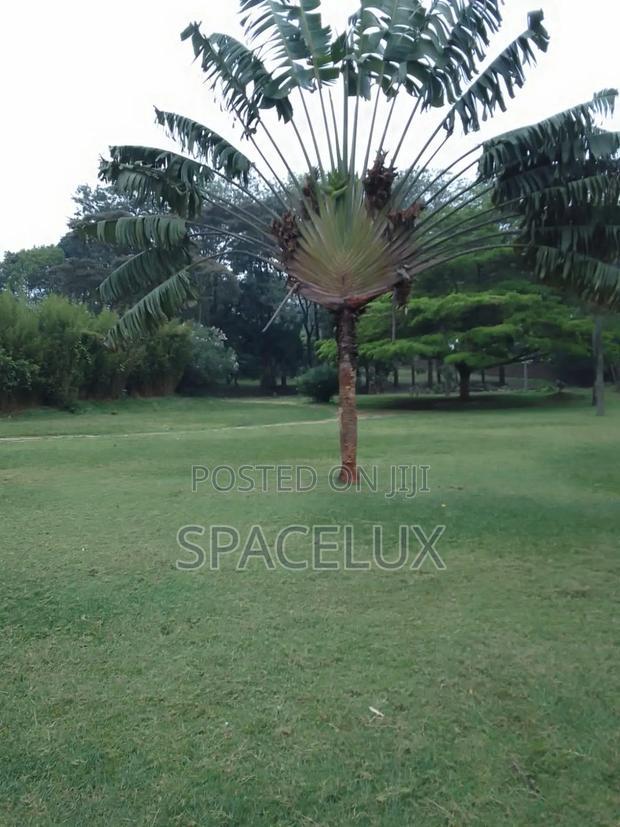1 Acre Kilimani Restaurant Space