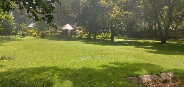 Stunning Commercial House Lavington 1.2 Acres