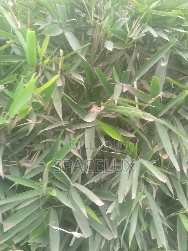4.5 Acres Prime Land Touching Eastern by Pass Ruiru Kamakis