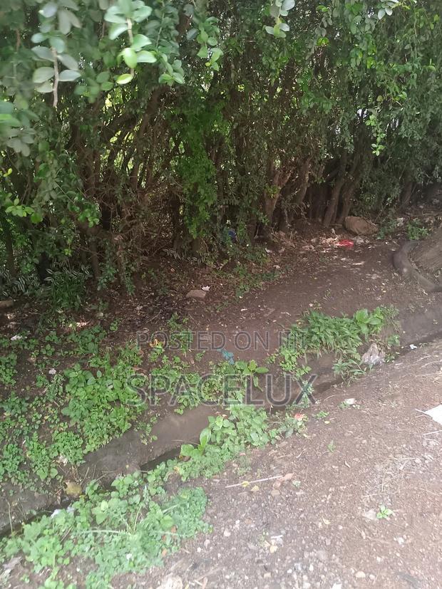 1 Acre Riverside Drive
