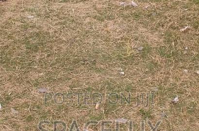 Prime 0.854 Acres Land Westland