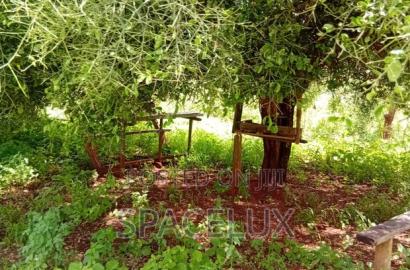 (15billion KSHS ) 970 Acres Farmland With Tea and Coffee Plantations