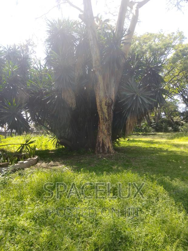 1.2 Acres Adams Arcade Commercial