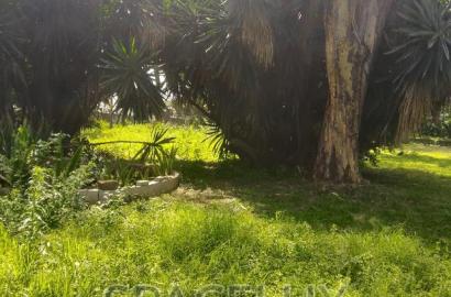 1.2 Acres Adams Arcade Commercial