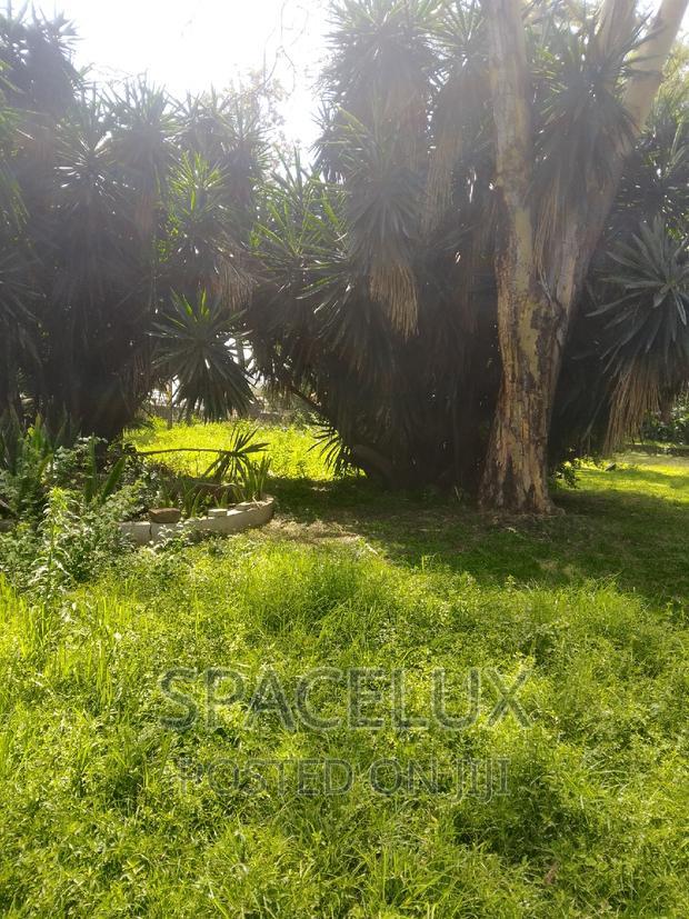 1.2 Acres Adams Arcade Commercial