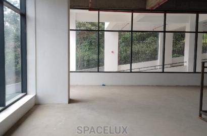 Retail Space Show Rooms