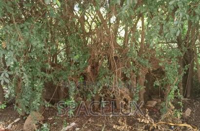 1.1acres Kilimani Near Yaya