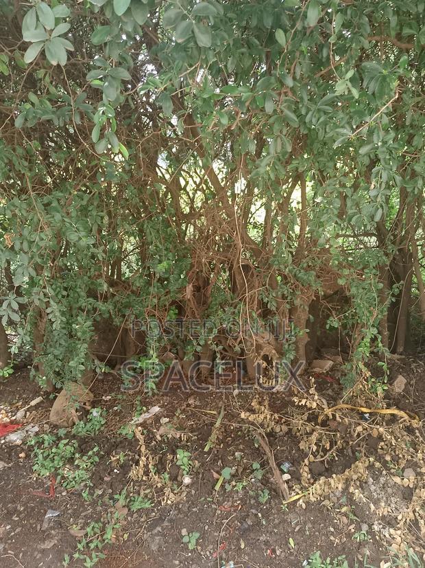 1.1acres Kilimani Near Yaya