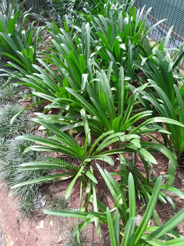 Upper Hill 2.5 Acres for Sale in Prime Location