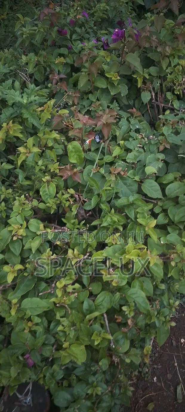 1 Acre Westlands Prime Land