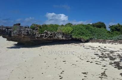 Expansive Beach Plots
