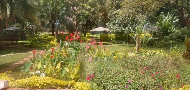Stunning Commercial House Lavington 1.2 Acres