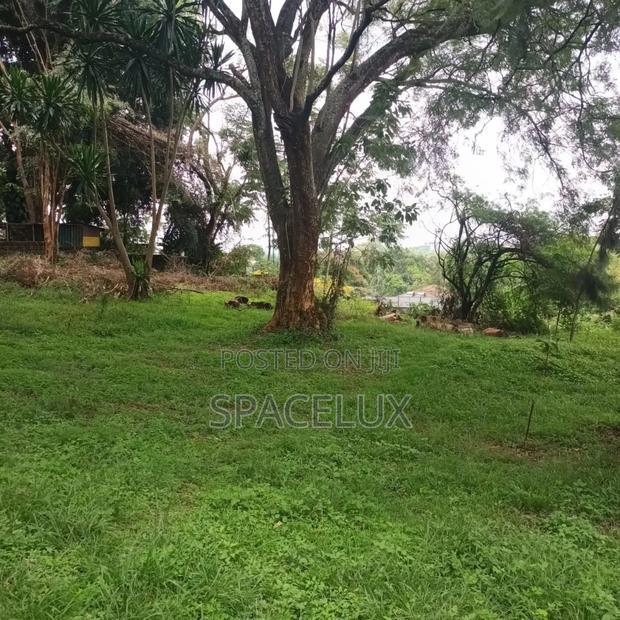 1acre Lavington Restaurant ,Office