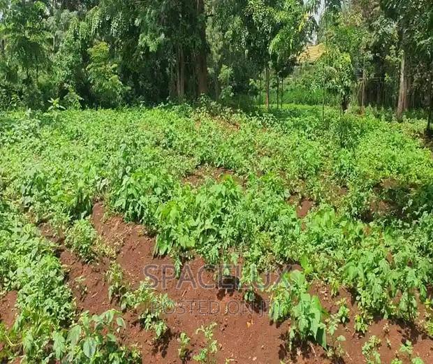 1.25 Acres Kilimani Ngong Rd
