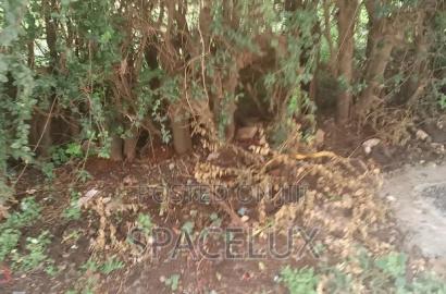 1 Acre Riverside Drive