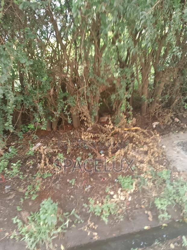 1 Acre Riverside Drive