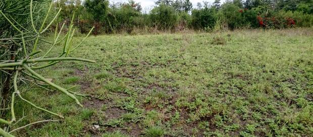 Joint Venture Land Quarter an Acre South B Balozi Airtel
