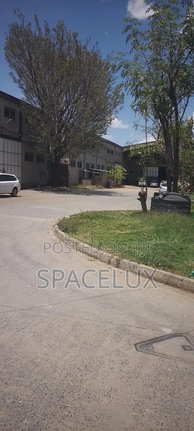 3 Acres With 5 Go Downs 10000sqft Each