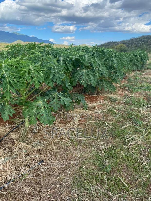 Prime 53 Acres Near Tatu City Sasini