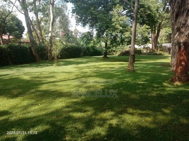 Lucrative Farmland 100 Acres Tigoni Limuru