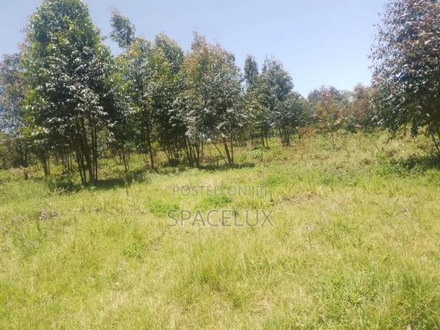 Prime 135 Acres Karen
