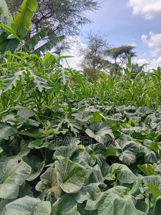 (15billion KSHS ) 970 Acres Farmland With Tea and Coffee Plantations