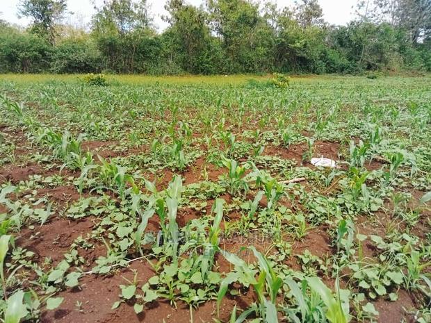 Sagana Prime Plots for Sale