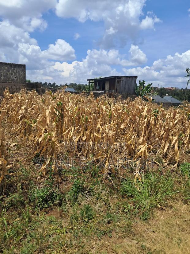 Githanji Estate Prime Plots Kenol