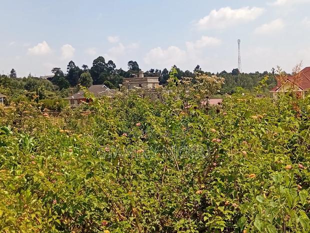 Prime Residential Plots for Sale in Kikuyu Kamangu