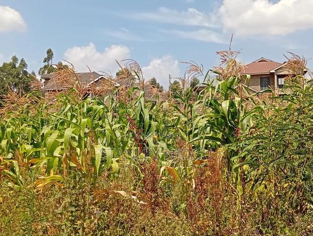 Prime Residential Plots 50-100fts in Kikuyu Kamangu