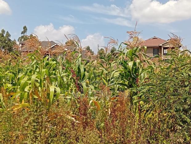 Prime Residential Plots 50-100fts in Kikuyu Kamangu