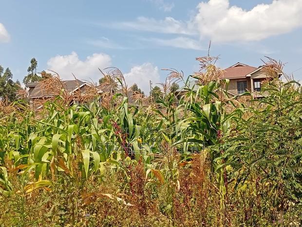 Prime Residential Plots 50-100fts in Kikuyu Kamangu