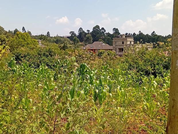 Prime Residential Plots for Sale in Kikuyu Kamangu
