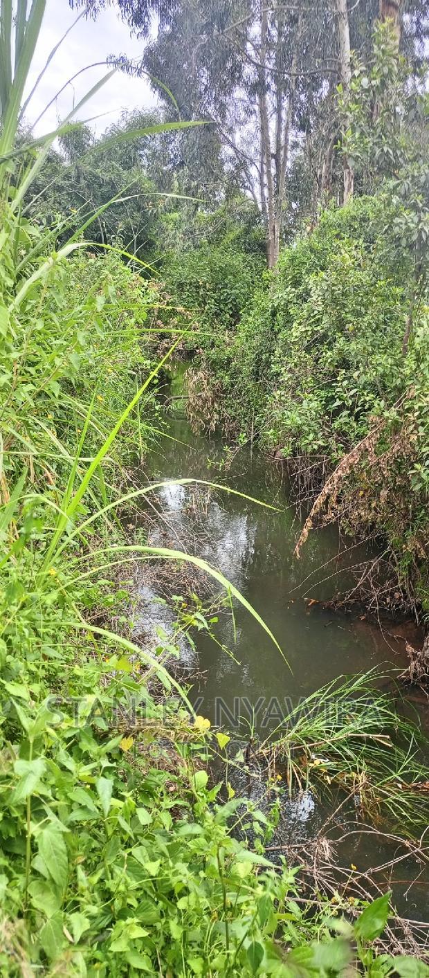 9 Acreas Touching River Nanyuki Burguret