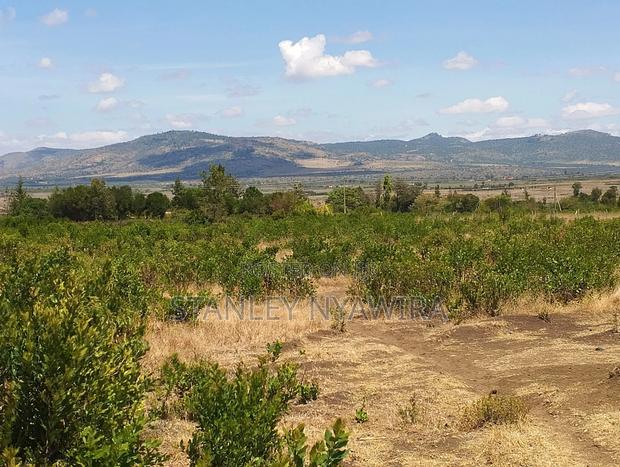 8 Acreas for Sale Nanyuki