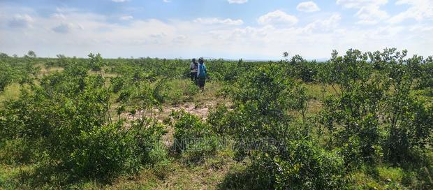 Get Land Within Nanyuki at Per Acre