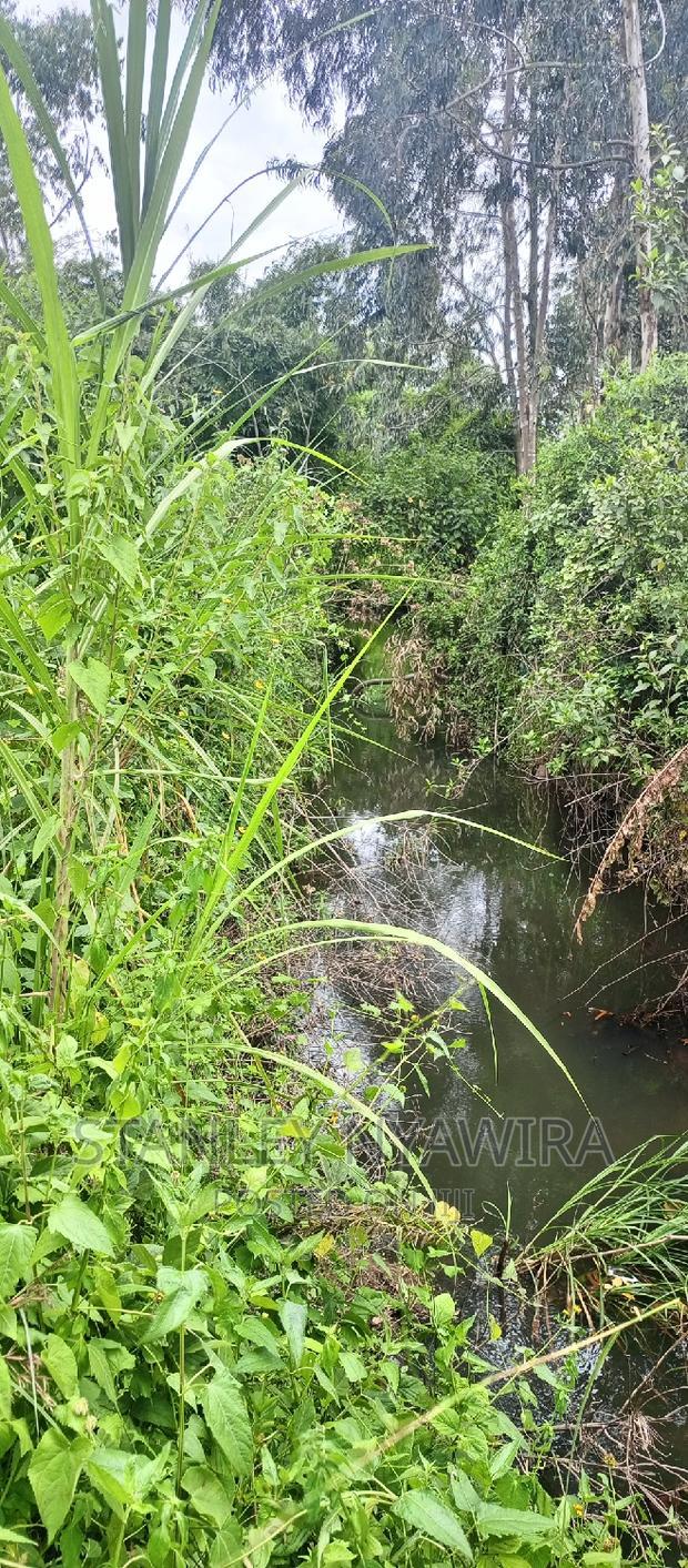 9 Acreas Touching River Nanyuki Burguret