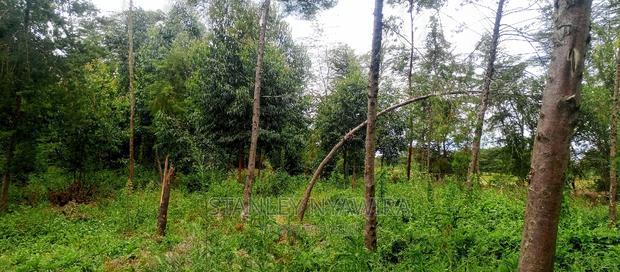 9 Acreas Touching River Nanyuki Burguret