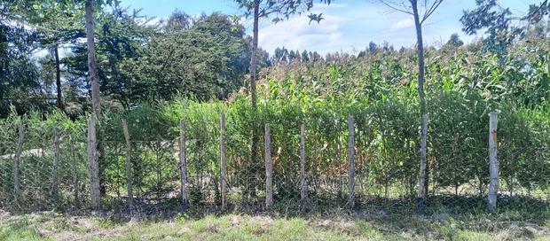 Beautiful 3 Acreas Nanyuki Behind Airstrip