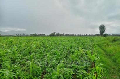 20 Acres Nanyuki Mukima Near Mayan Resort