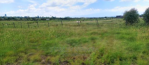 One Acreas Nanyuki Mirera